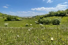 Cemex launches new BNG Service to support developers