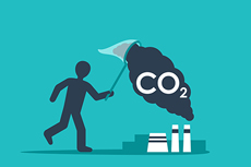 Holcim and ELEMENTAL present new carbon sink technology for buildings