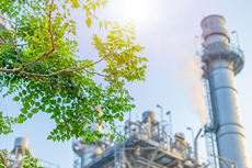 Betolar speeds up change in building materials standards