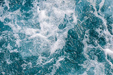 ‘Holcim Helps’ coastal cleanup yields 3 t of waste