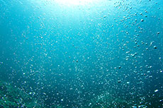 Supreme Court agrees to hear WOTUS petition