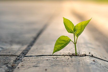 How next-generation analysis is bringing CO2-neutral cement within reach - Vimarsana News